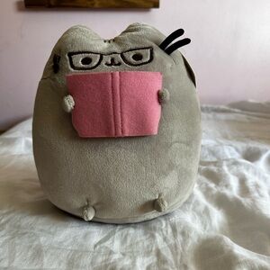 BAM! Exclusive Pusheen with Pink Book